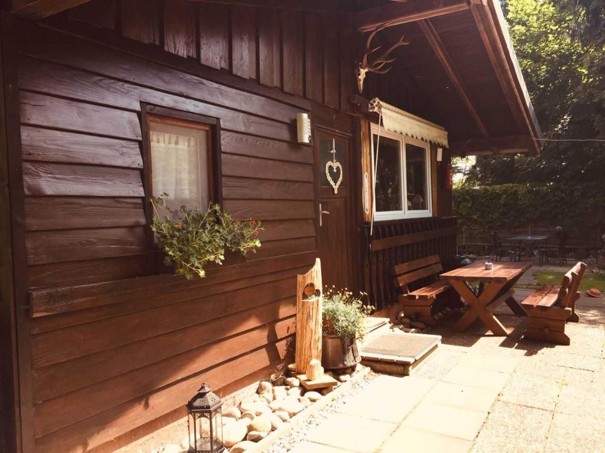 Ferienhaus Bussard Gammelsbach エクステリア 写真