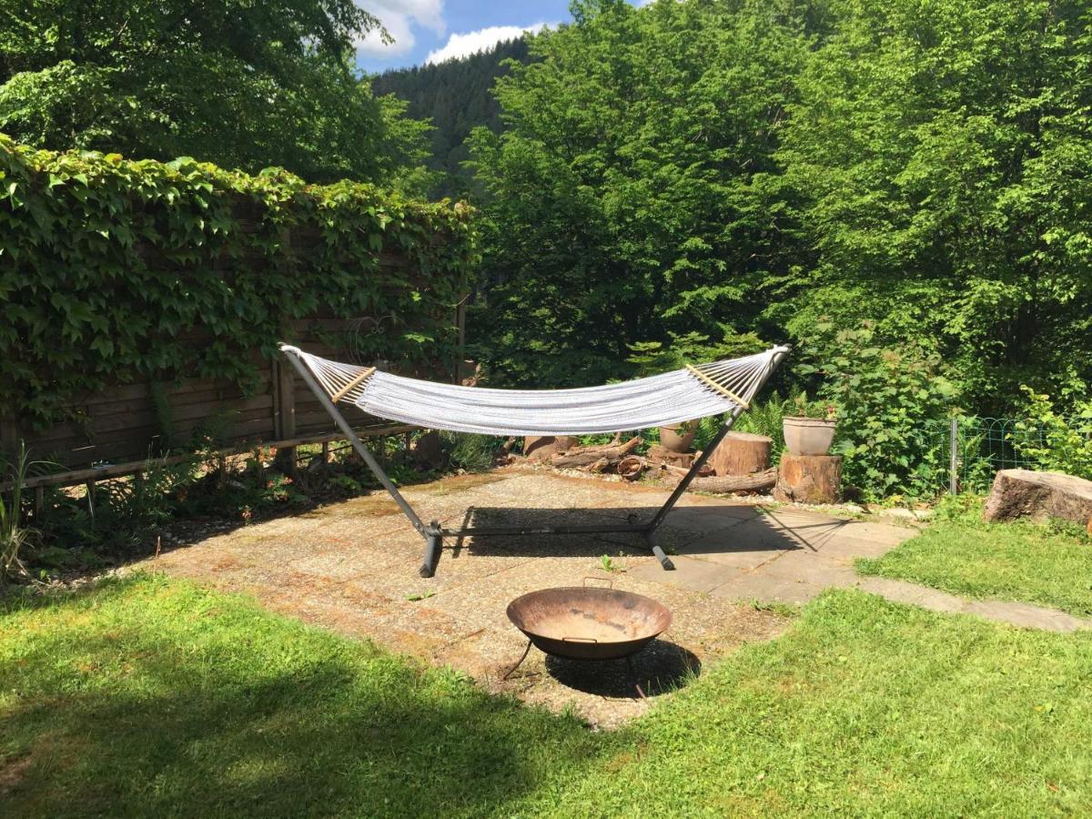 Ferienhaus Bussard Gammelsbach エクステリア 写真