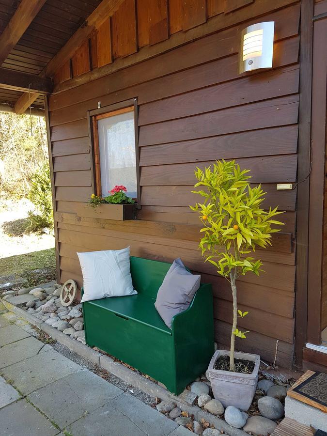 Ferienhaus Bussard Gammelsbach エクステリア 写真